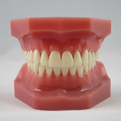 Bite Alignment